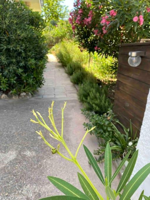 Une Pause Au Paradis Sorgues Zewnętrze zdjęcie